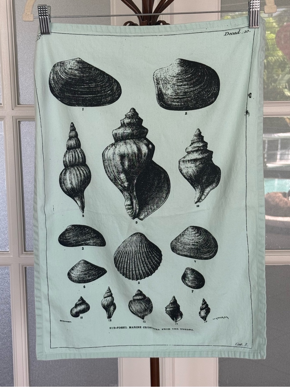 TAG Coastal Shell Print Cotton Tea Towel Aqua Beach House Kitchen Decor